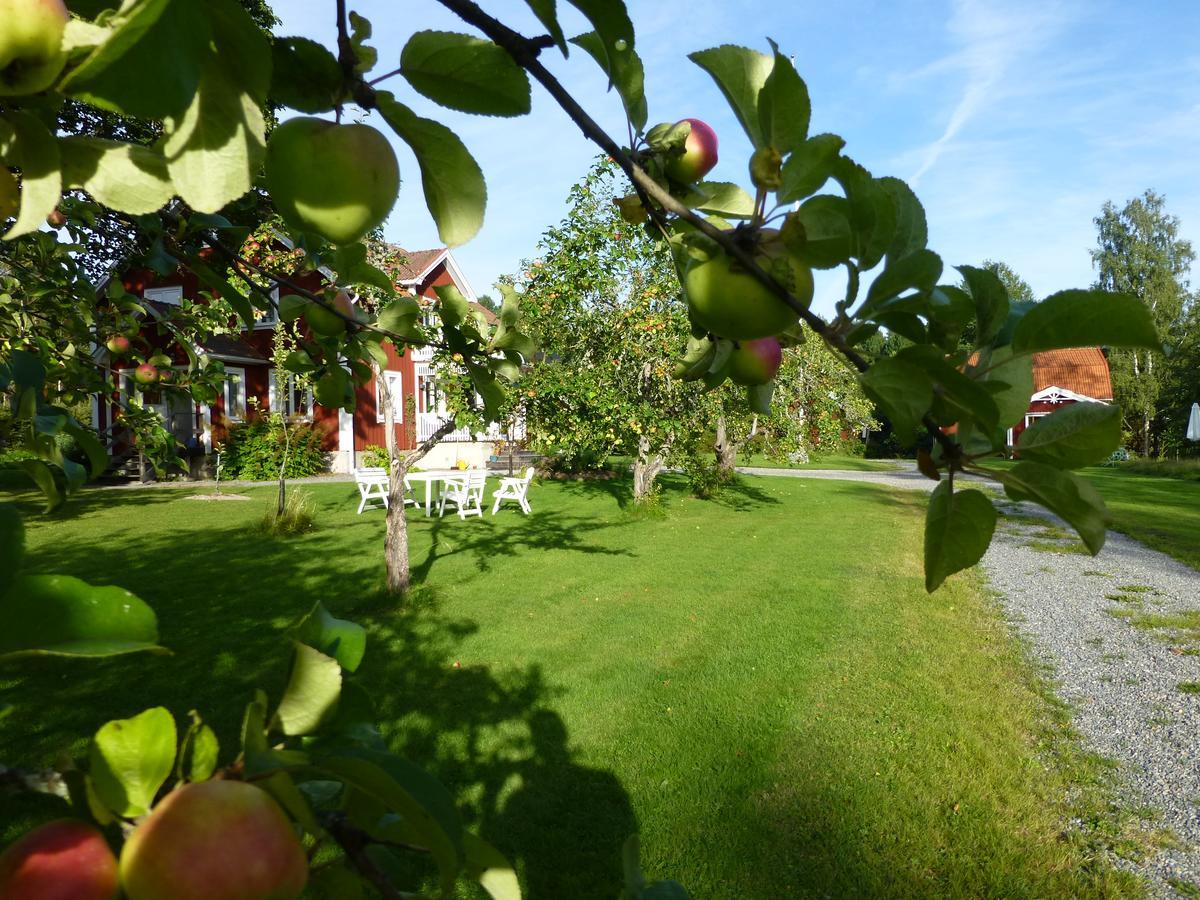 ostra Loa Groena Anaes B&B 외부 사진