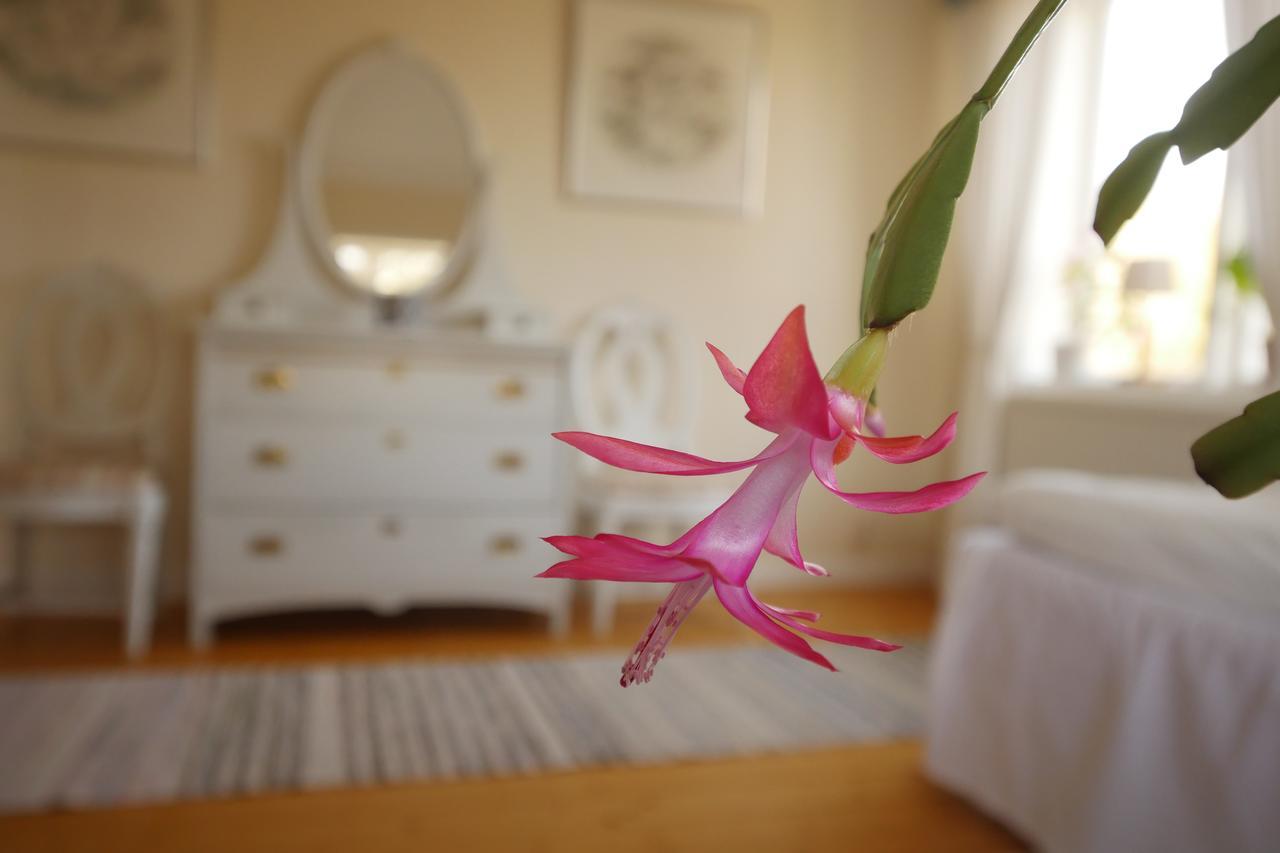 ostra Loa Groena Anaes B&B 외부 사진