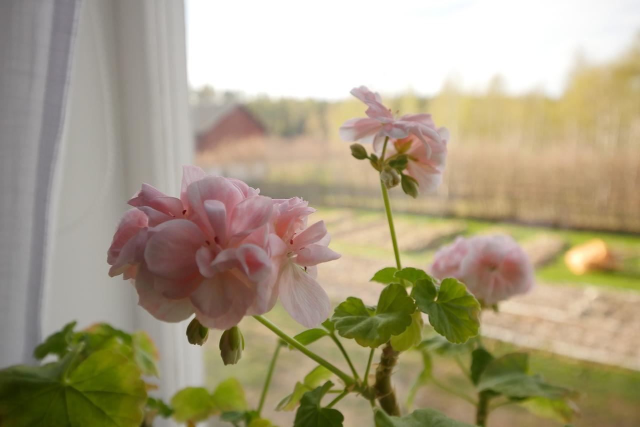 ostra Loa Groena Anaes B&B 외부 사진