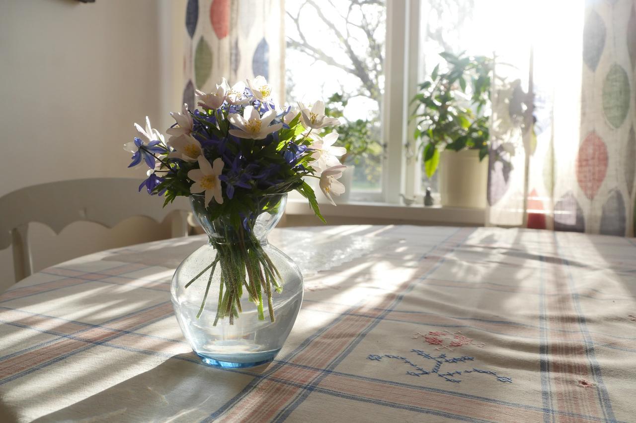 ostra Loa Groena Anaes B&B 외부 사진